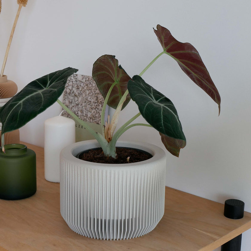 Praha Indoor Planter with Tray
