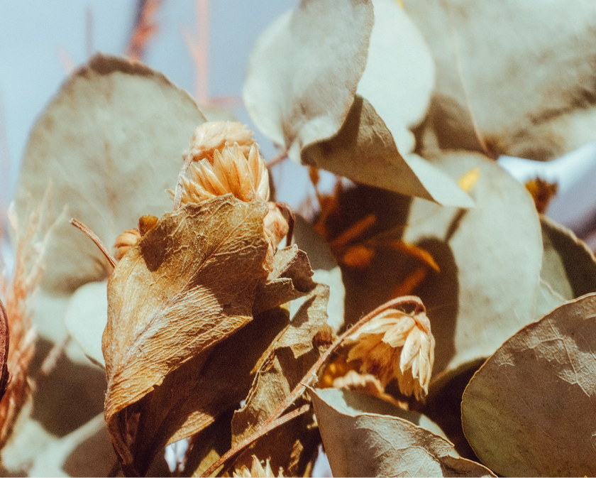 Scent No 06 — Clean Candle Refill