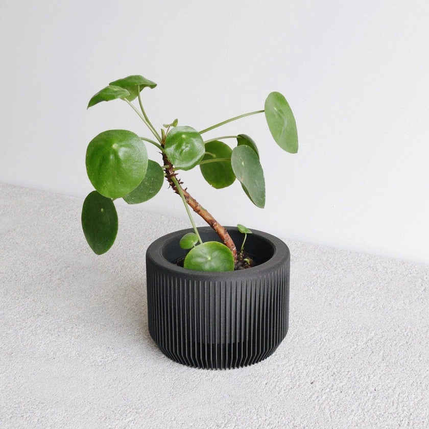 Praha Indoor Planter with Tray