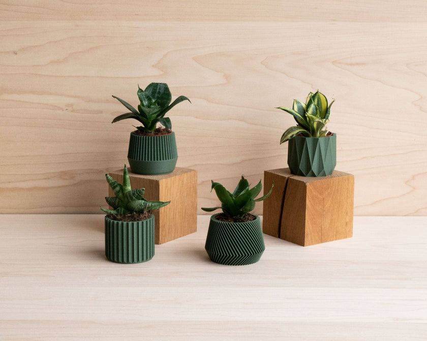 Small Green Plant Pot