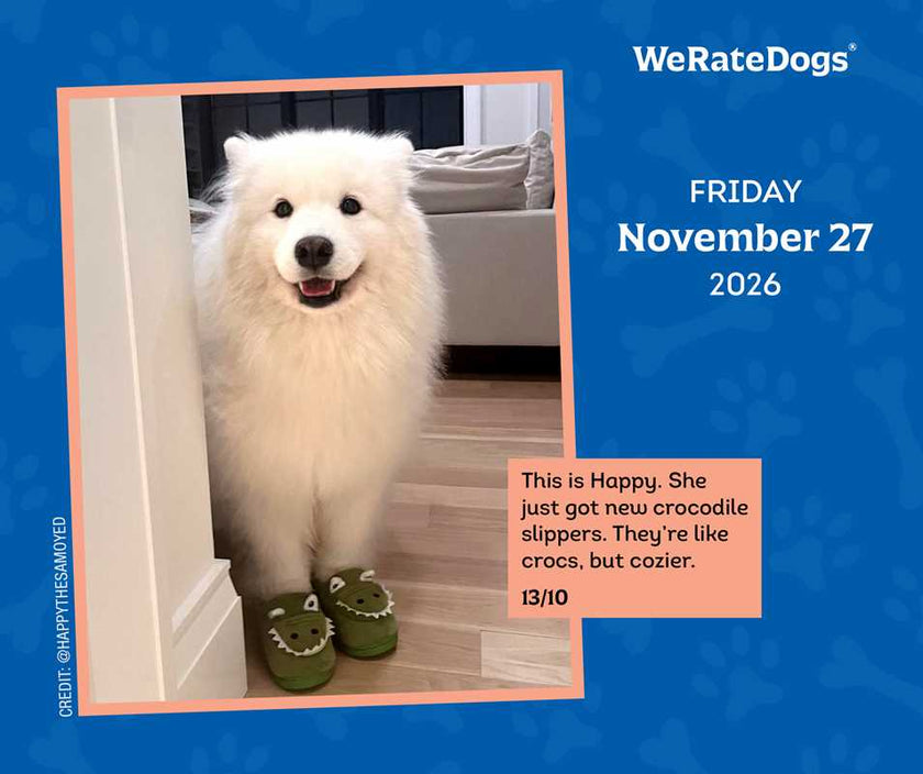 WeRateDogs 2026 Day-to-Day Calendar by Matt  Nelson