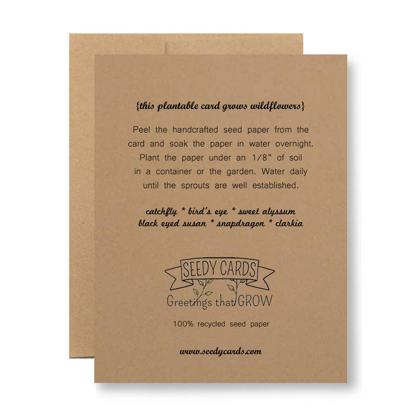 Birthday card - talk about recycling - Seed Paper Card