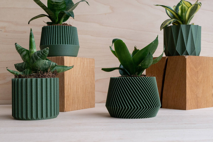 Small Green Plant Pot