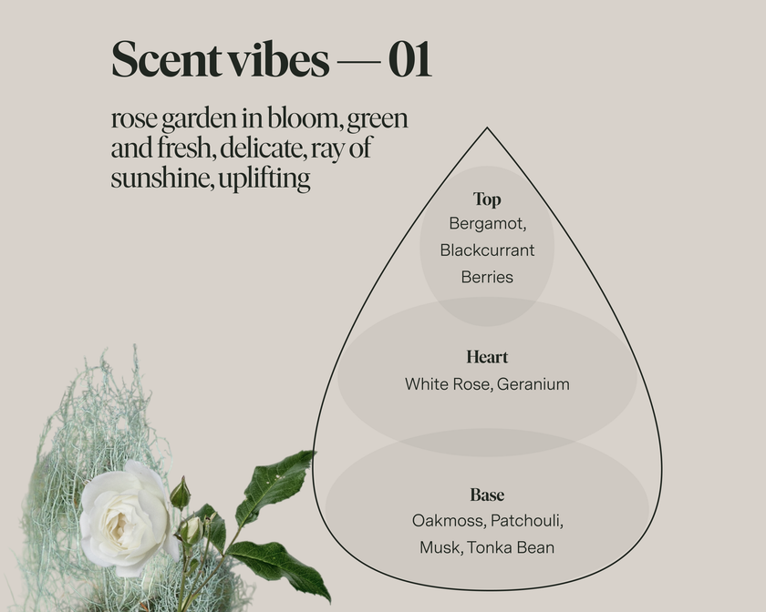 Scent No 01 — Clean Candle Refill