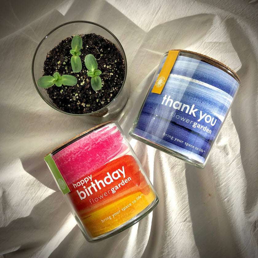 Happy Birthday | Flower Garden