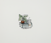 Plants, Books, Coffee Vinyl Sticker