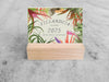 2025 Mini Desk Calendar, Tillandsia