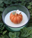Pumpkin Patch Candle