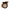 Cream Concealer