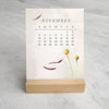 2025 Desk Calendar, Dried Field Flowers