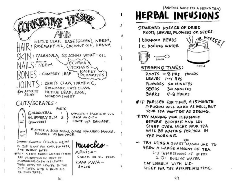 Healing Your Magical Body with Plants & Minerals (Zine)
