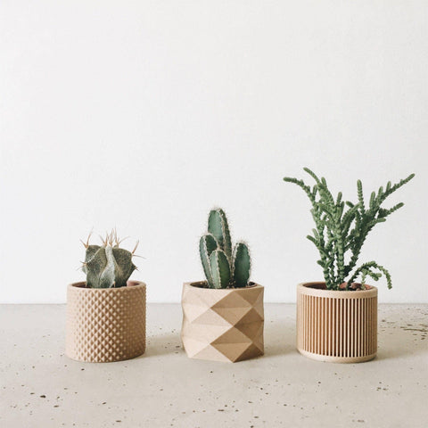 Small Natural Plant Pot