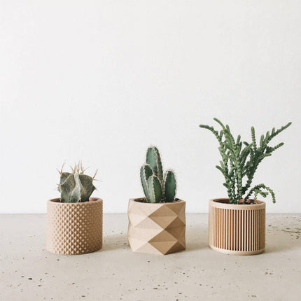 Small Natural Plant Pot