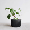 Praha Indoor Planter with Tray