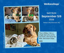 WeRateDogs 2026 Day-to-Day Calendar by Matt  Nelson