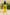 Infused Oil