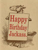 Jackass Birthday Greeting Card