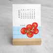 2025 Desk Calendar, Les Fruits