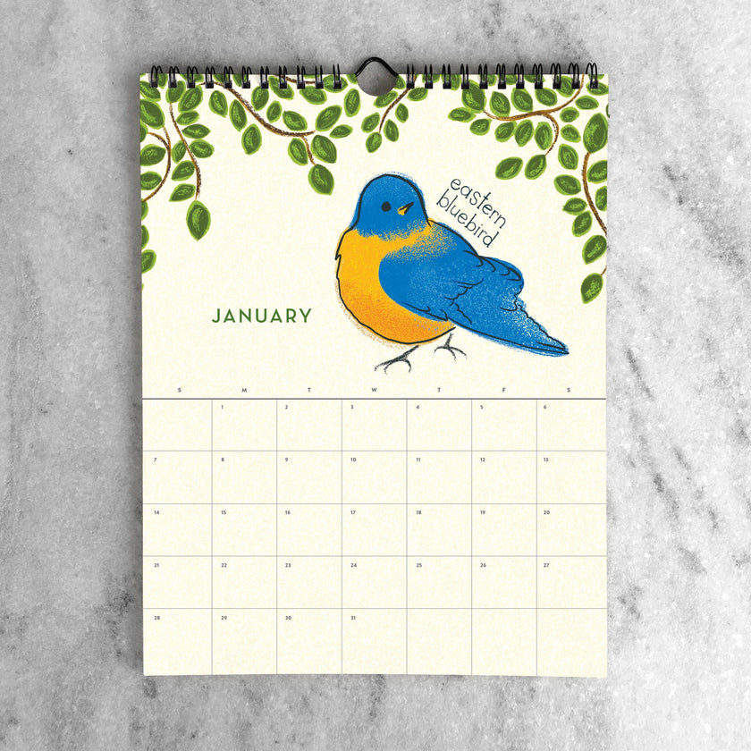 2025 Wall Calendar - Birds