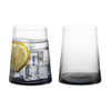 Set of 2 Empire DOF Tumblers Smoke