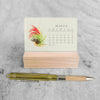 2025 Mini Desk Calendar, Tillandsia