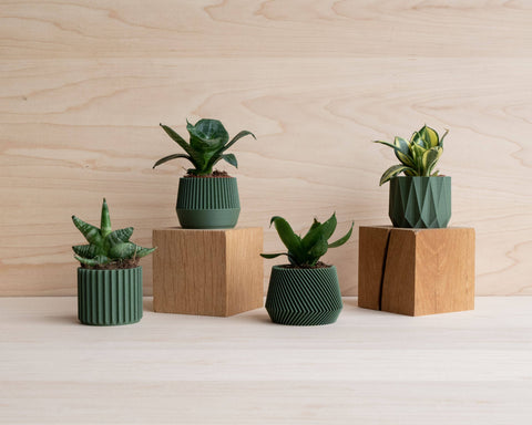 Small Green Plant Pot