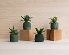 Small Green Plant Pot