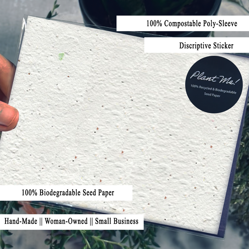 Bee-Loved Blooms - Seed Card