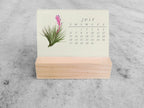 2025 Mini Desk Calendar, Tillandsia