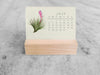 2025 Mini Desk Calendar, Tillandsia