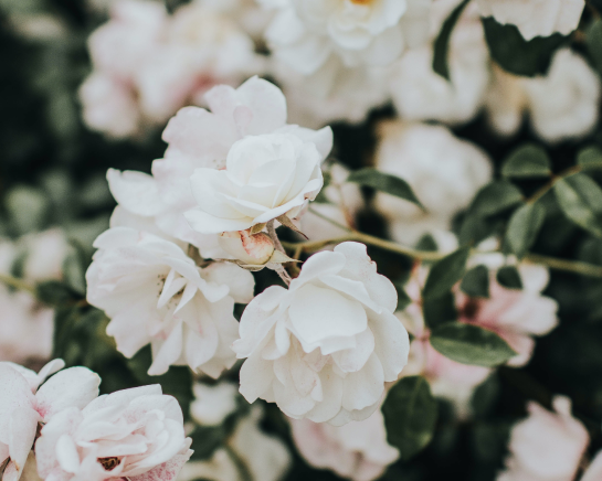 Scent No 01 — Clean Candle Refill