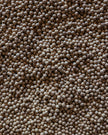 Aranya White Whole Peppercorn