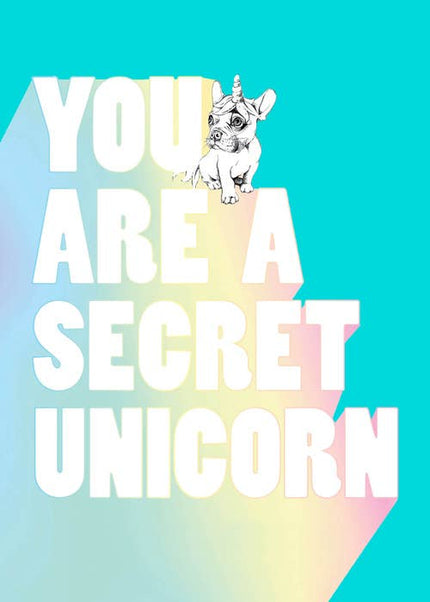 You Are A Secret Unicorn Journal