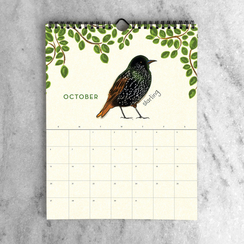 2025 Wall Calendar - Birds