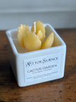 Cactus Garden Candle