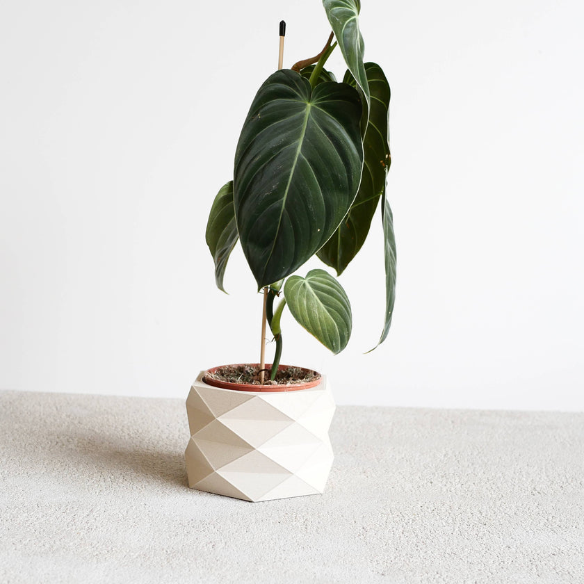 Indoor Plant Pot with Tray