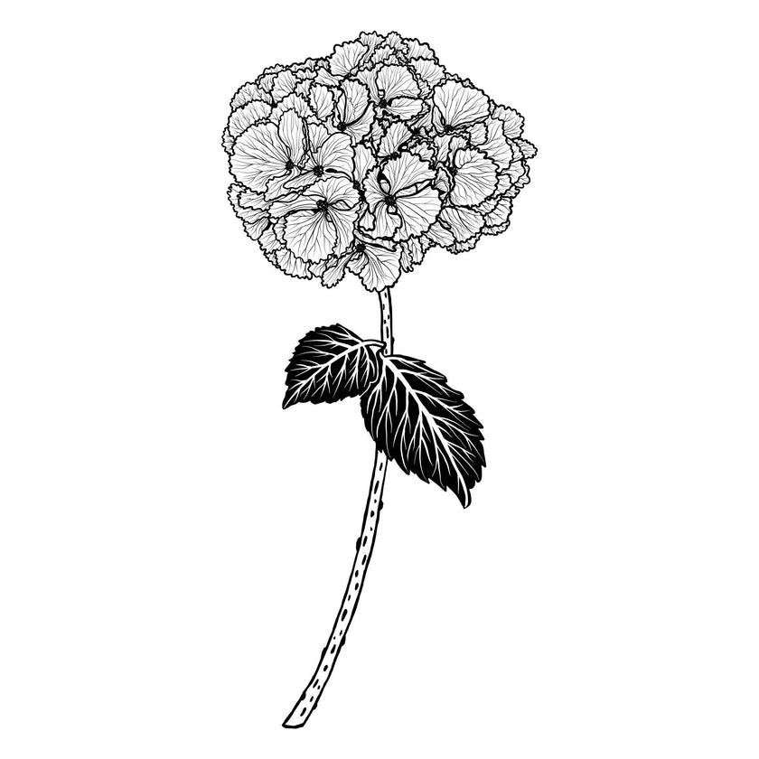 Flowers Black Collins Glass Quad Boxed Mixed Pack Set