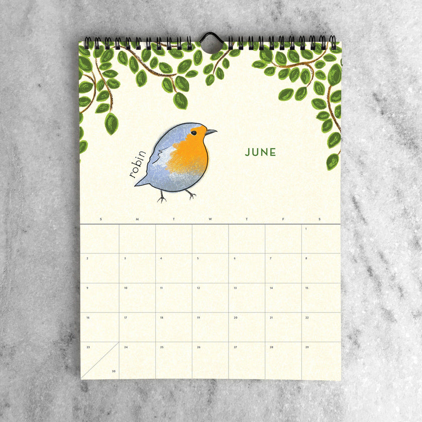 2025 Wall Calendar - Birds