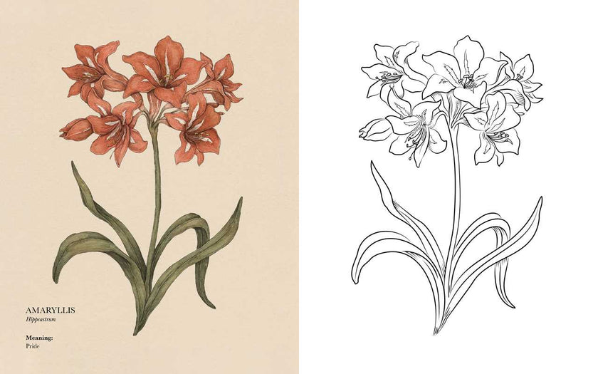 Floriography Coloring Book by Jessica  Roux