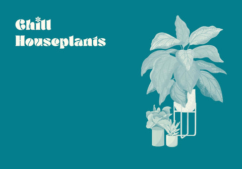 The Green Dumb Guide to Houseplants