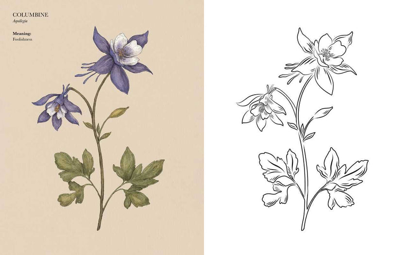 Floriography Coloring Book by Jessica  Roux