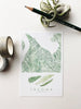 Tacoma Washington Ferns Postcard
