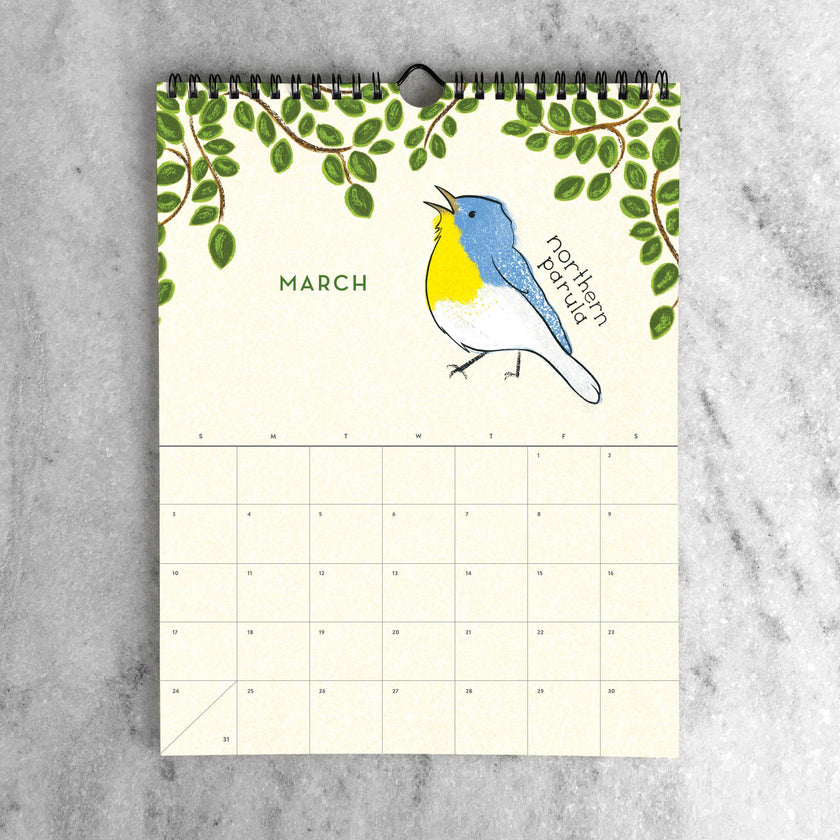 2025 Wall Calendar - Birds