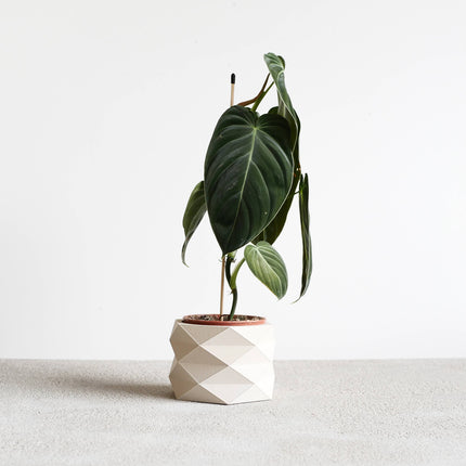 Indoor Plant Pot with Tray