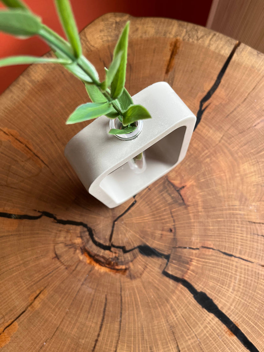 Modern Rectangular Concrete Propagation Planter