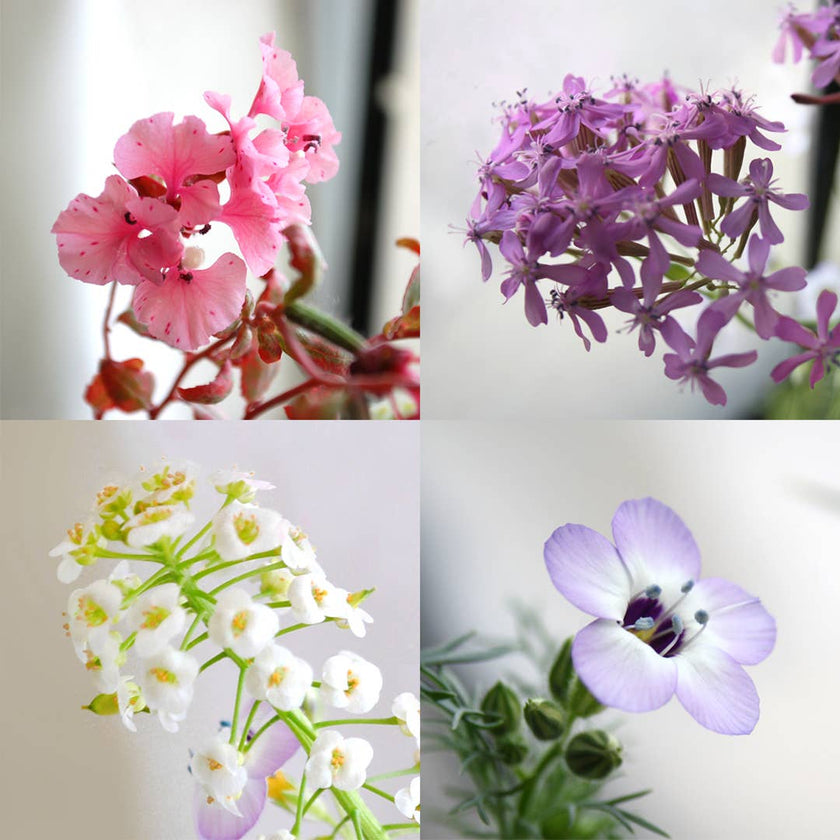 Father's Day in my top two  - Seed Paper Card