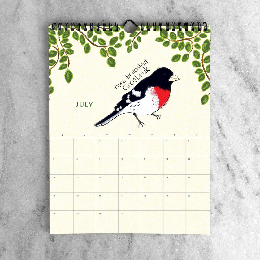 2025 Wall Calendar - Birds