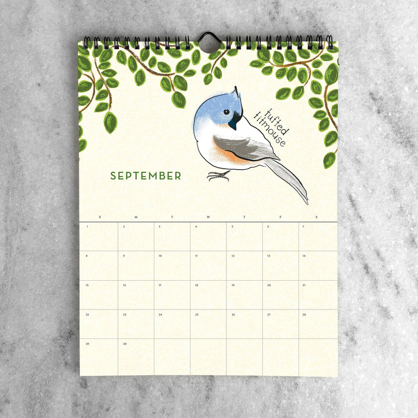 2025 Wall Calendar - Birds
