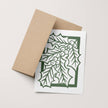 Holly Branch Holiday Card