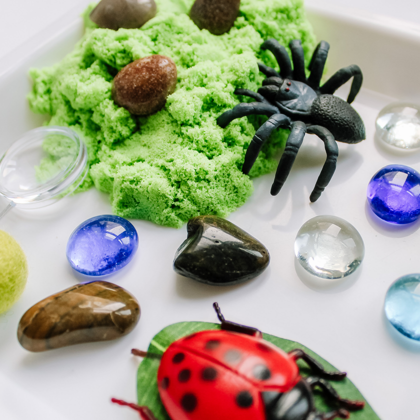 Children's Bugs Play Dough Sensory Kit